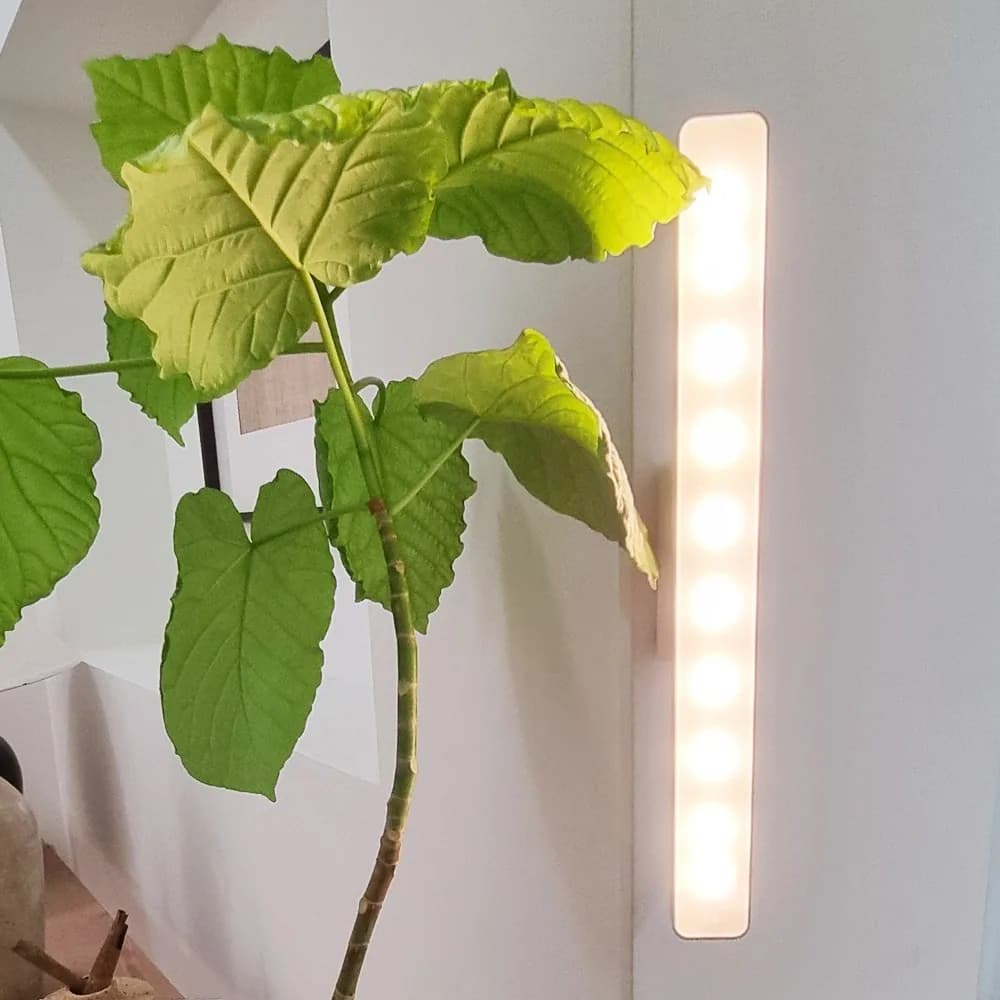 모드에버 초집중 무선 각도조절 LED 무드등 + 리모컨, 1개