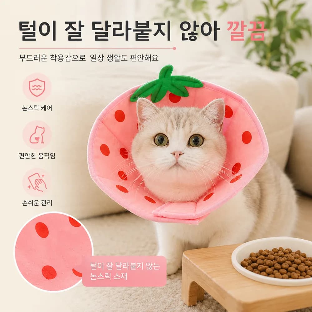 반려동물 중성화 초경량 통기성 넥카라 CWJYXQFEN