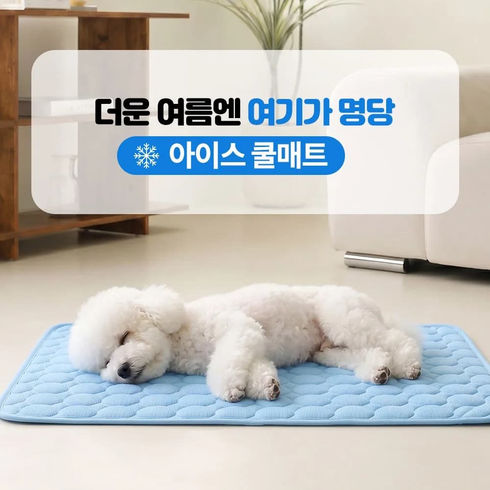 펫거스 냉감패드 강아지 고양이 쿨매트