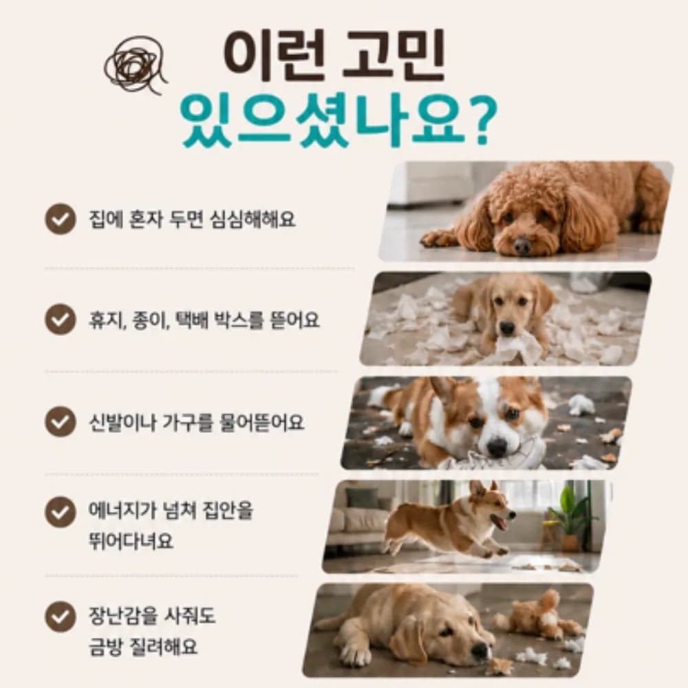 디오벨러 소리나는 신문 혼자놀기 강아지 장난감